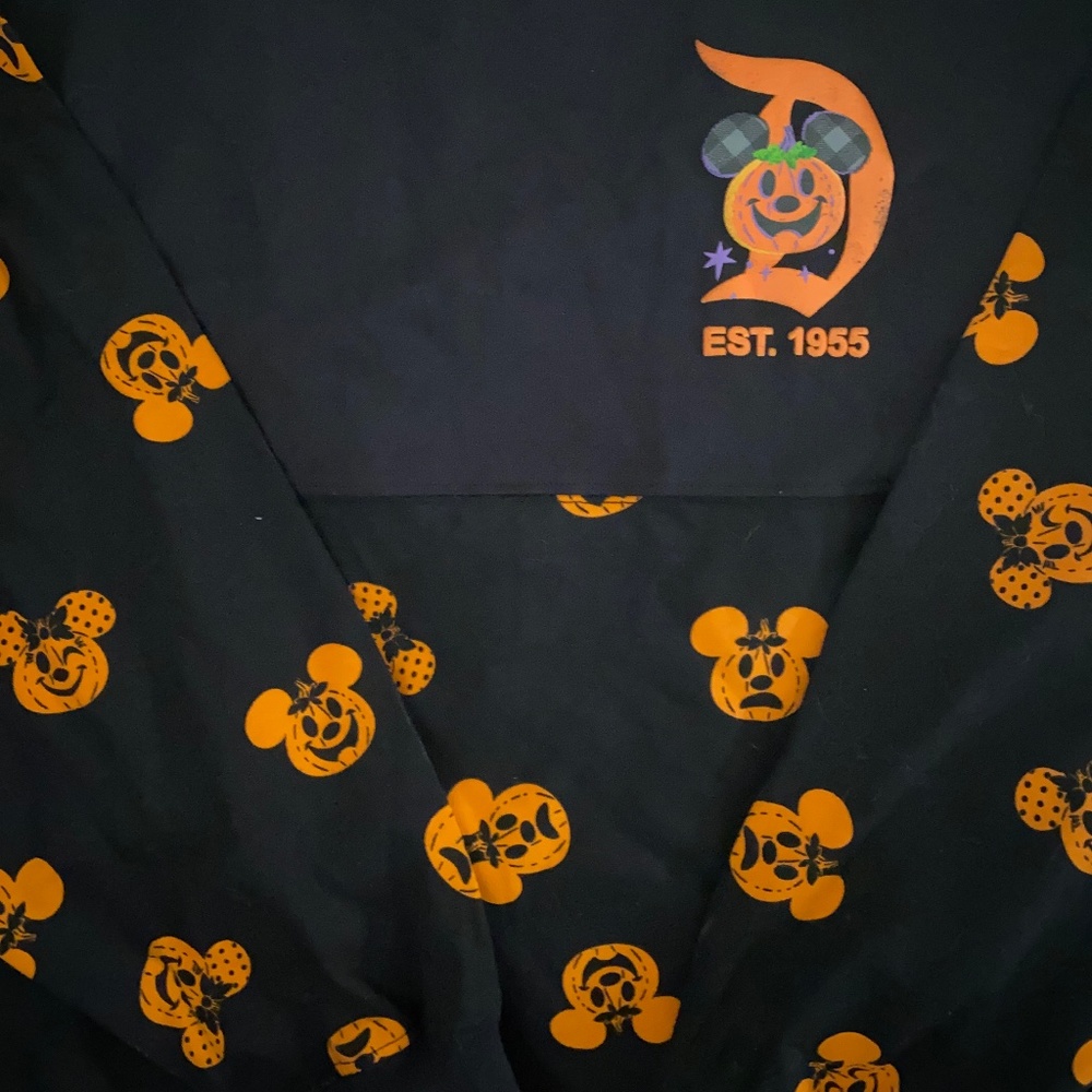 Disneyland Resort Spirit Jersey